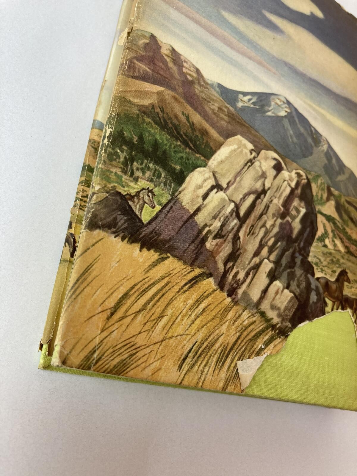 Green Grass of Wyoming Mary O’Hara Peoples Book Club HC Dust Jacket
