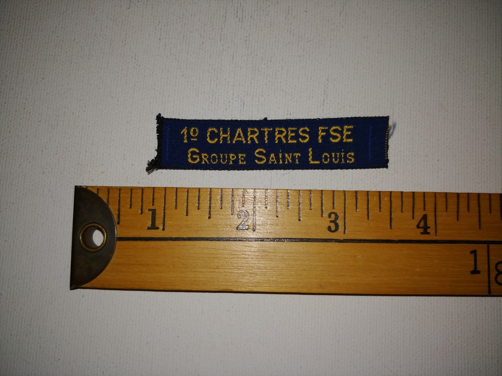 RARE BOY SCOUTS CHARTRES FSE SAINT LOUIS FRANCE FRENCH PATCH CREST ECUSSON