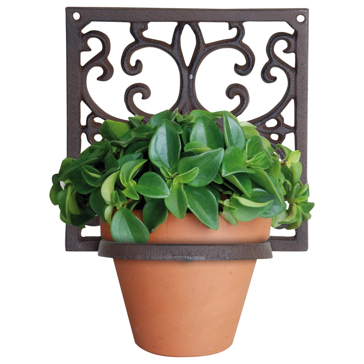 Cast-iron pot holder (pair of) ( Pot holder – cast-iron (pair of))
