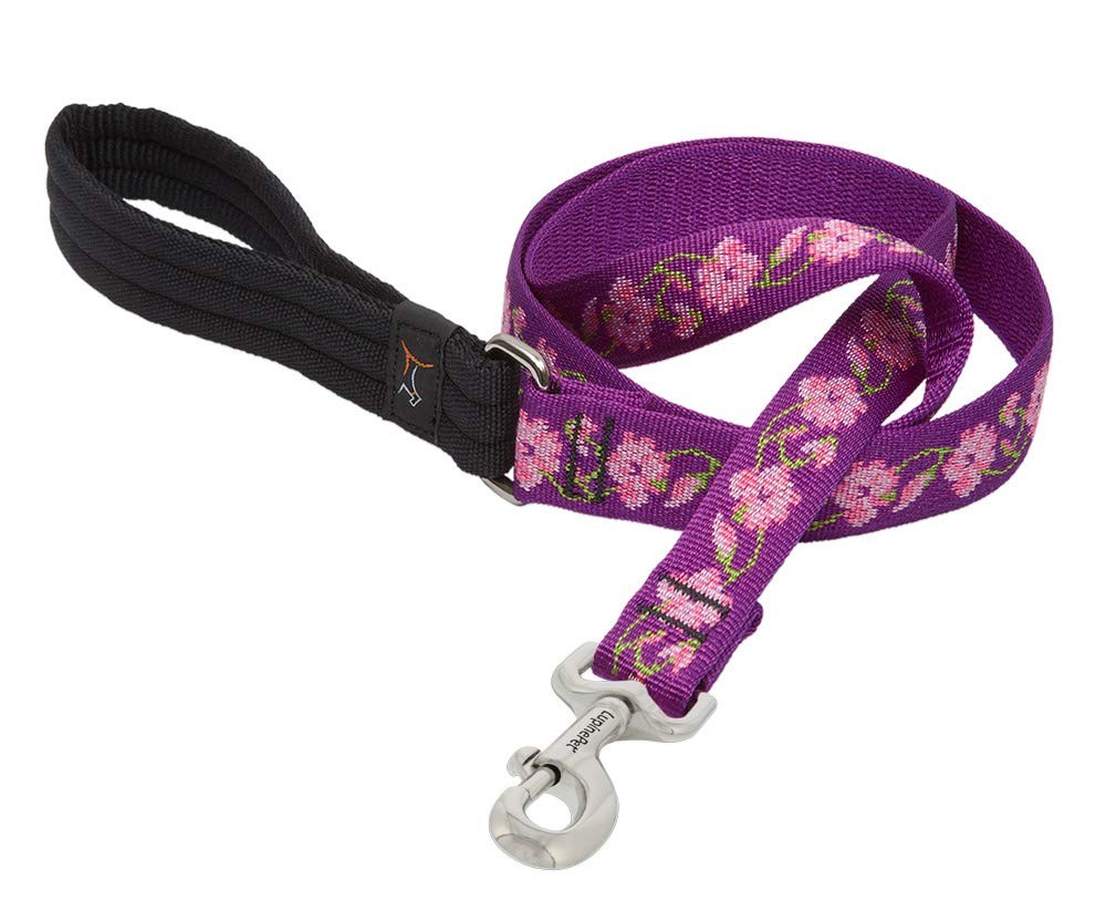 LupinePet Originals 1″ Rose Garden 4-Foot Padded Handle Leash