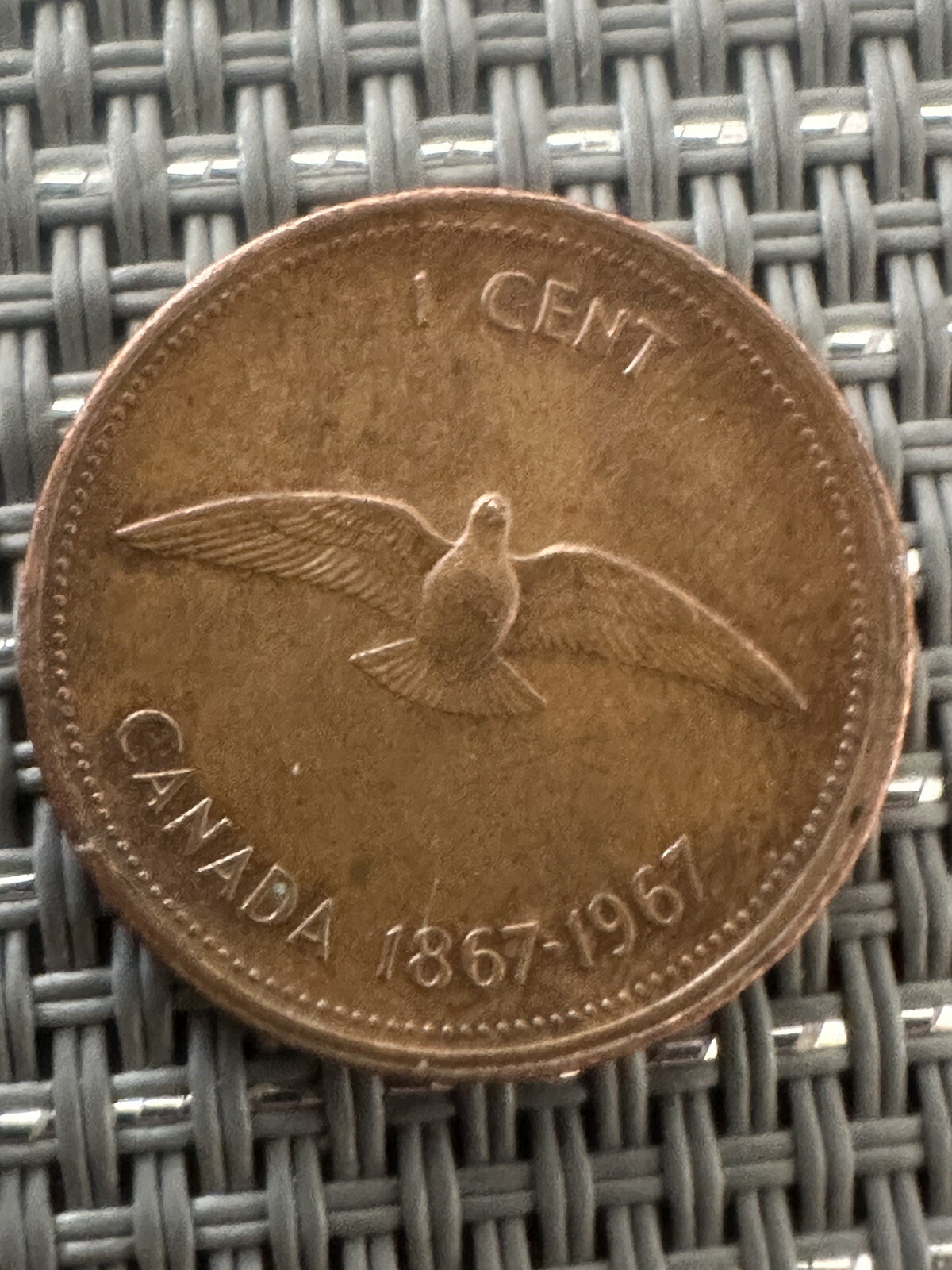 1867-1967 1 Cent Dove Penny, Partial Double Edge, D/D Printing Error. SUPER RARE