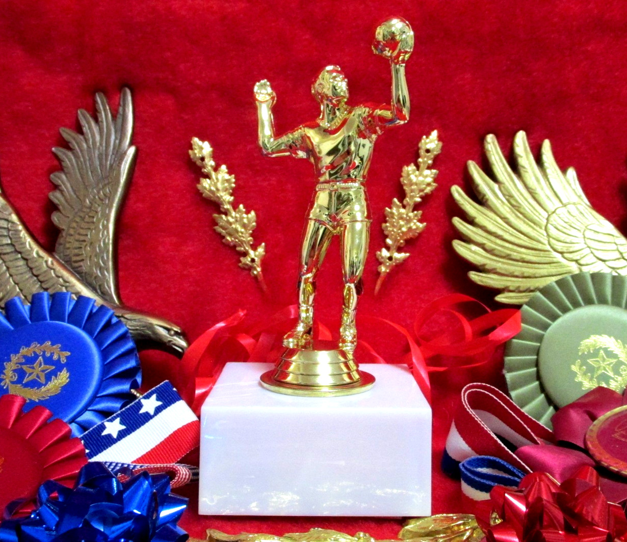 VOLLEYBALL Trophy, Boys Male MVP Team Coach Special Award MarbeliteBase FastShip