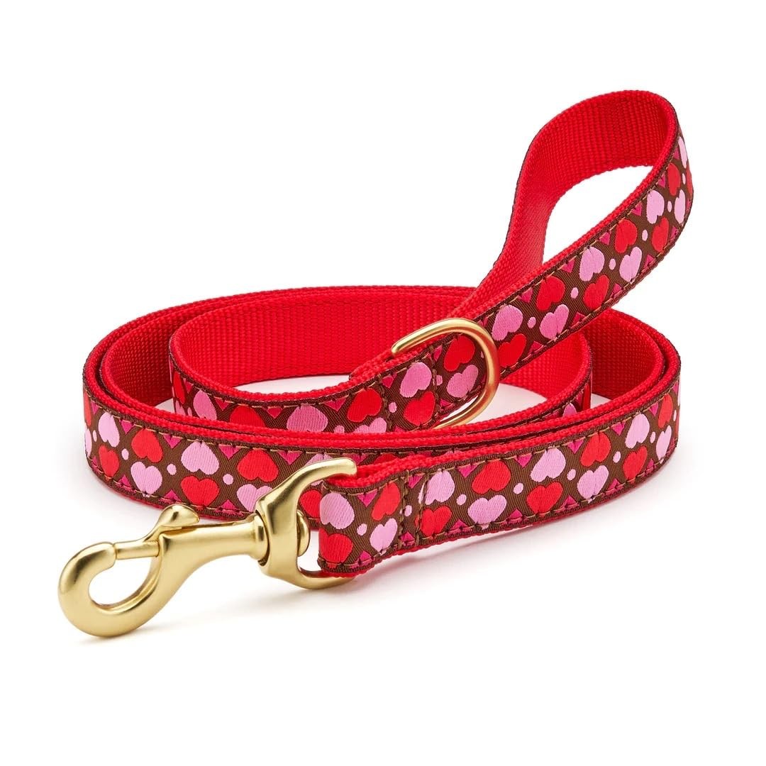 Up Country Dog Lead All Hearts Pattern Leash with D-Ring, 5 ft x 1″ Wide