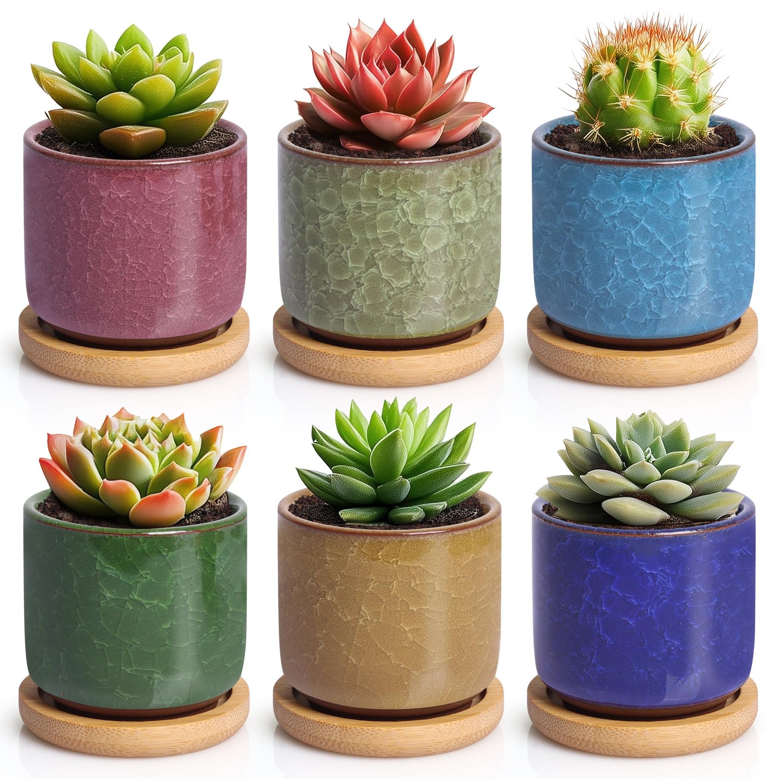 T4U 2.5 Inch Small Ceramic Succulent Planter Pot with Bamboo Saucer Set of 6