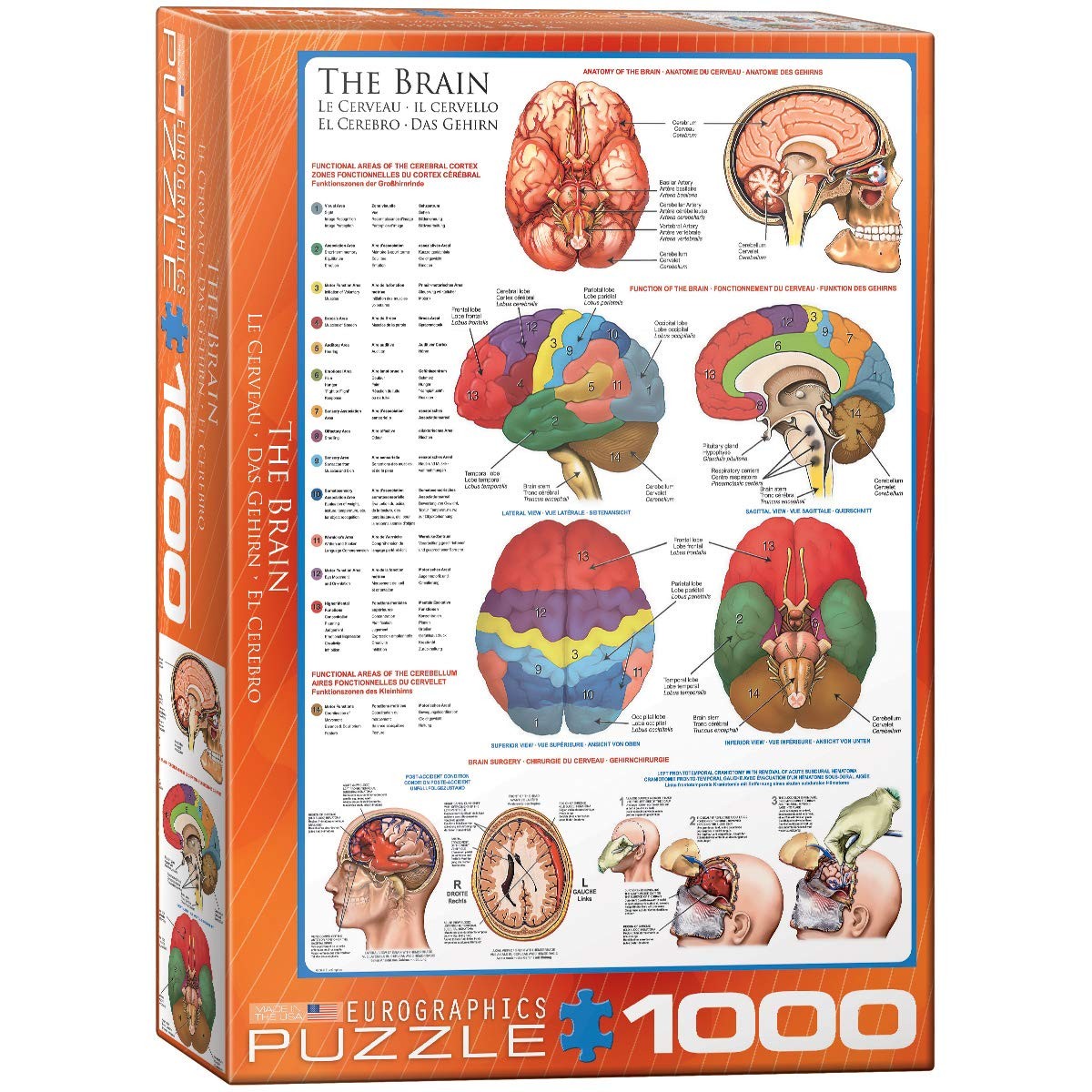 EuroGraphics Human Body (The Brain) 1000 Piece Puzzle