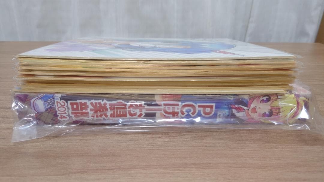 PC Game Club 2013-2014 Reproduction Sign Colored Paper Binder 30 pcs Used