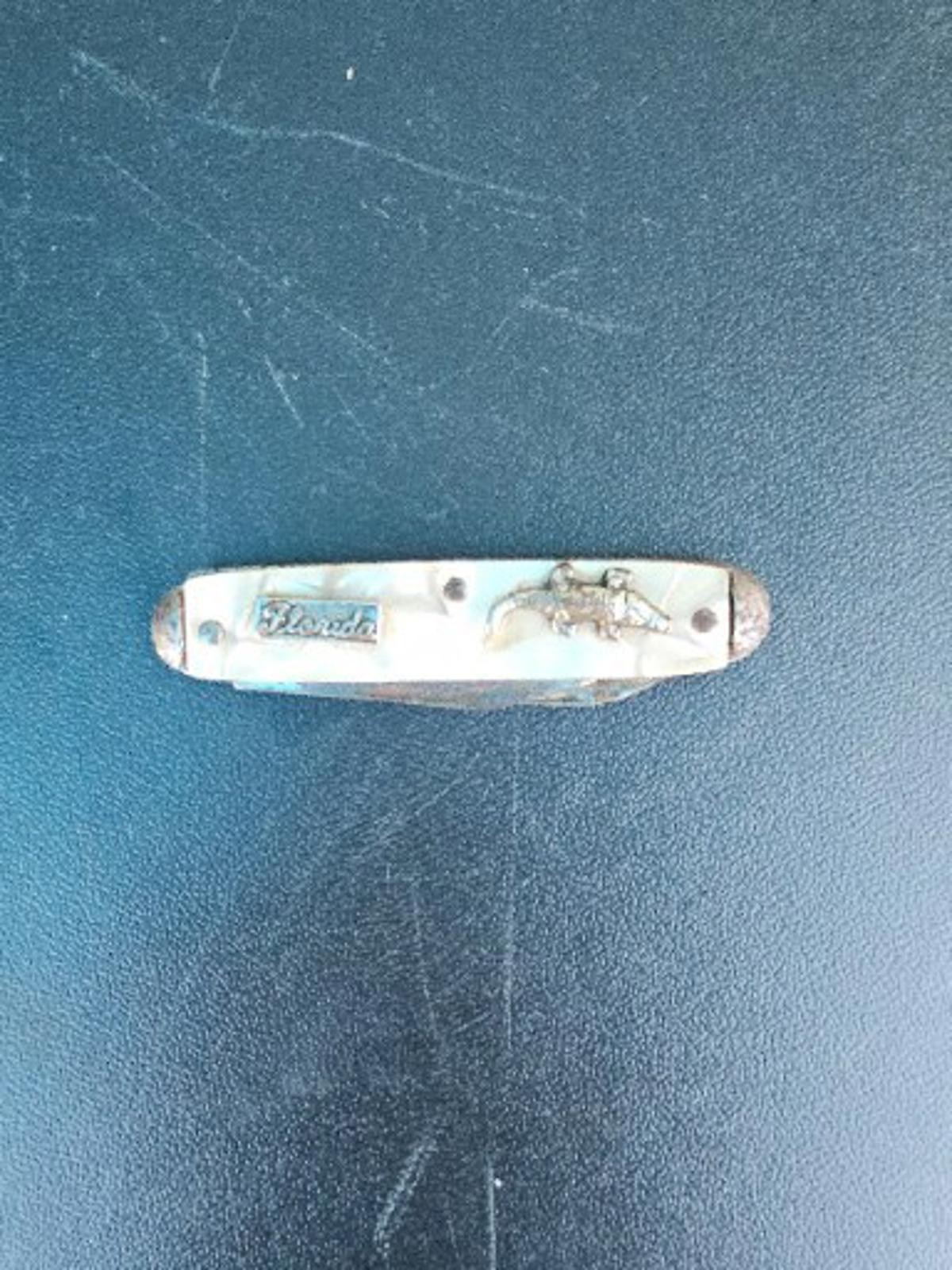 Vintage Florida Novelty Key Chain Pocket Knife 3.5″ White Pearl &gator Rare #191