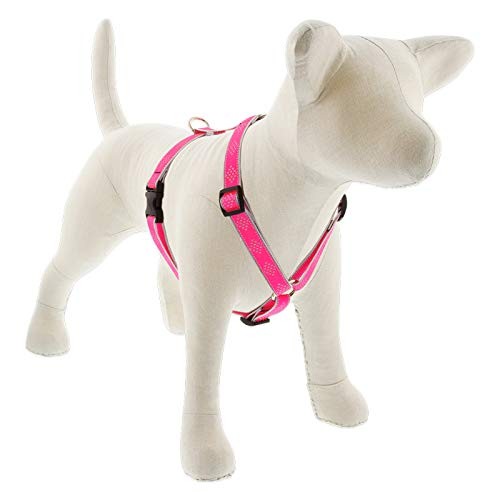 Lupine Reflective Adjustable Dog Harness 3/4″ Pink Diamond 20-32″ Girth