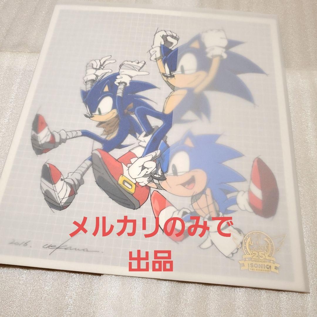 Sonic Sega Art Illustration Signed Serial Number Limited Edition Used