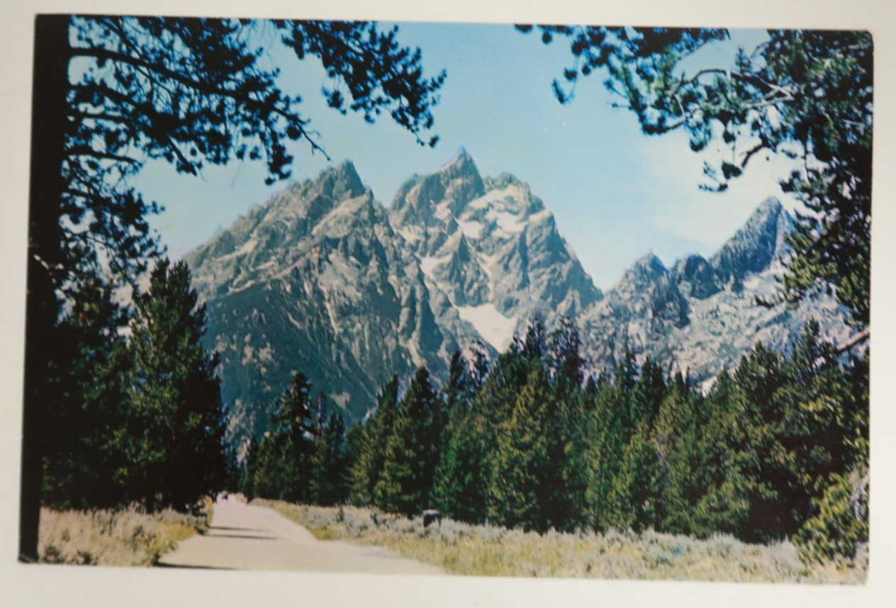 Majestic Grand Teton National Park Oversized Postcard No. 5406 Sanborn 6″ x 9″