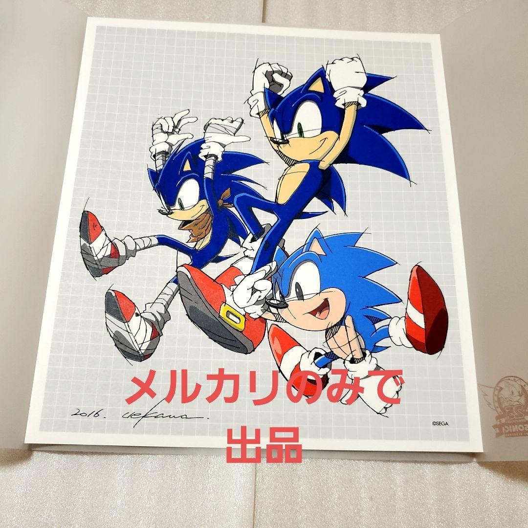 Sonic Sega Art Illustration Signed Serial Number Limited Edition Used