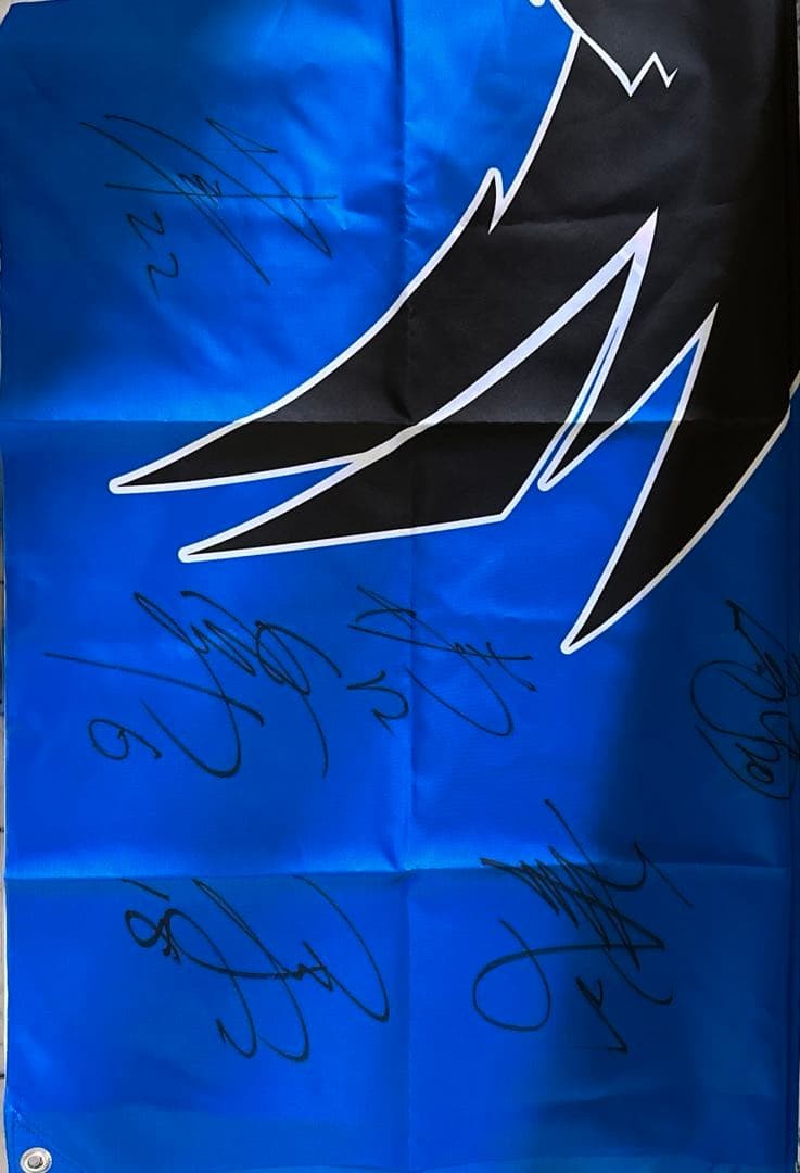 Panthers Cheering Flag Tapestry 100x156cm Signed by 19 Players Used