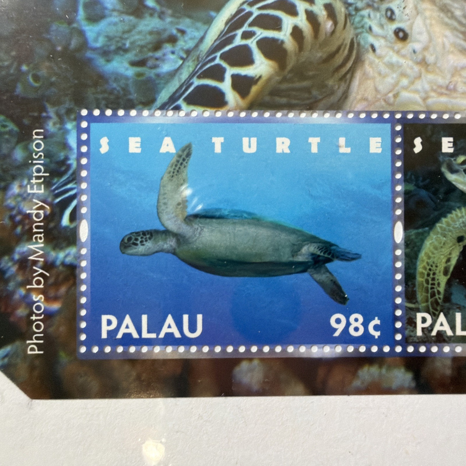 Collectable Turtle Stamps Gift from President of Republic of Palau Box 2