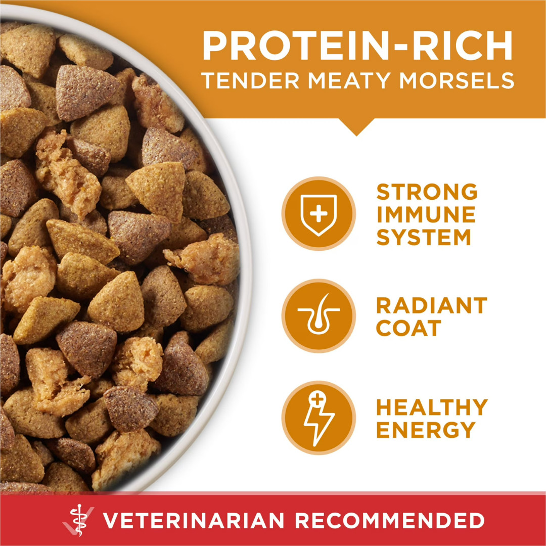 Purina One Dry Dog Food for Adult Dogs High Protein, Real Chicken & Rice,16.5 lb