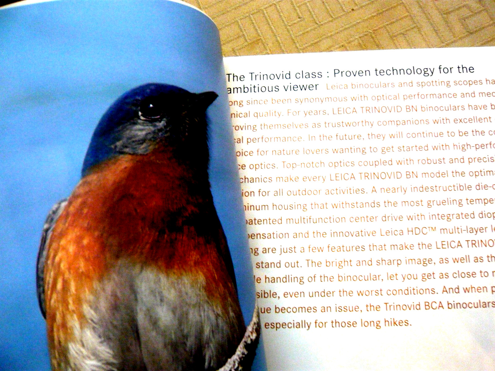 Leica Nature Observation. Binocs and Scopes. 100 pages. English specs.