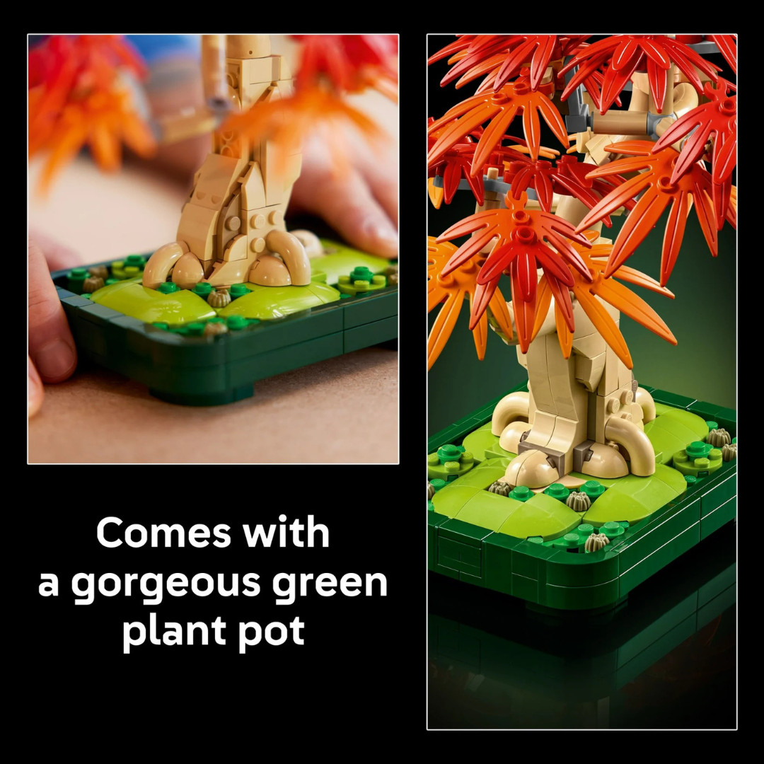 LEGO Botanicals Japanese Red Maple Bonsai Tree Building Kit for Adults 18+