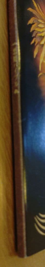 Monthly Famicom News Strategy Special Shin Megami Tensei II Devil Bible