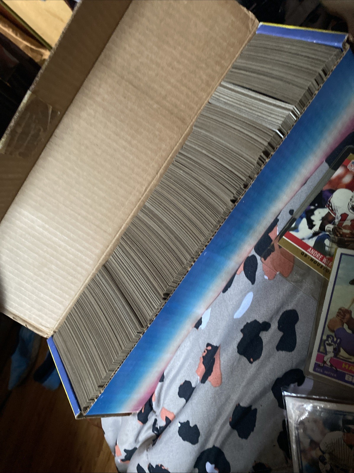 Sports Cards From 1989/1990. One Box Of Cards And Some Additional Collectibles