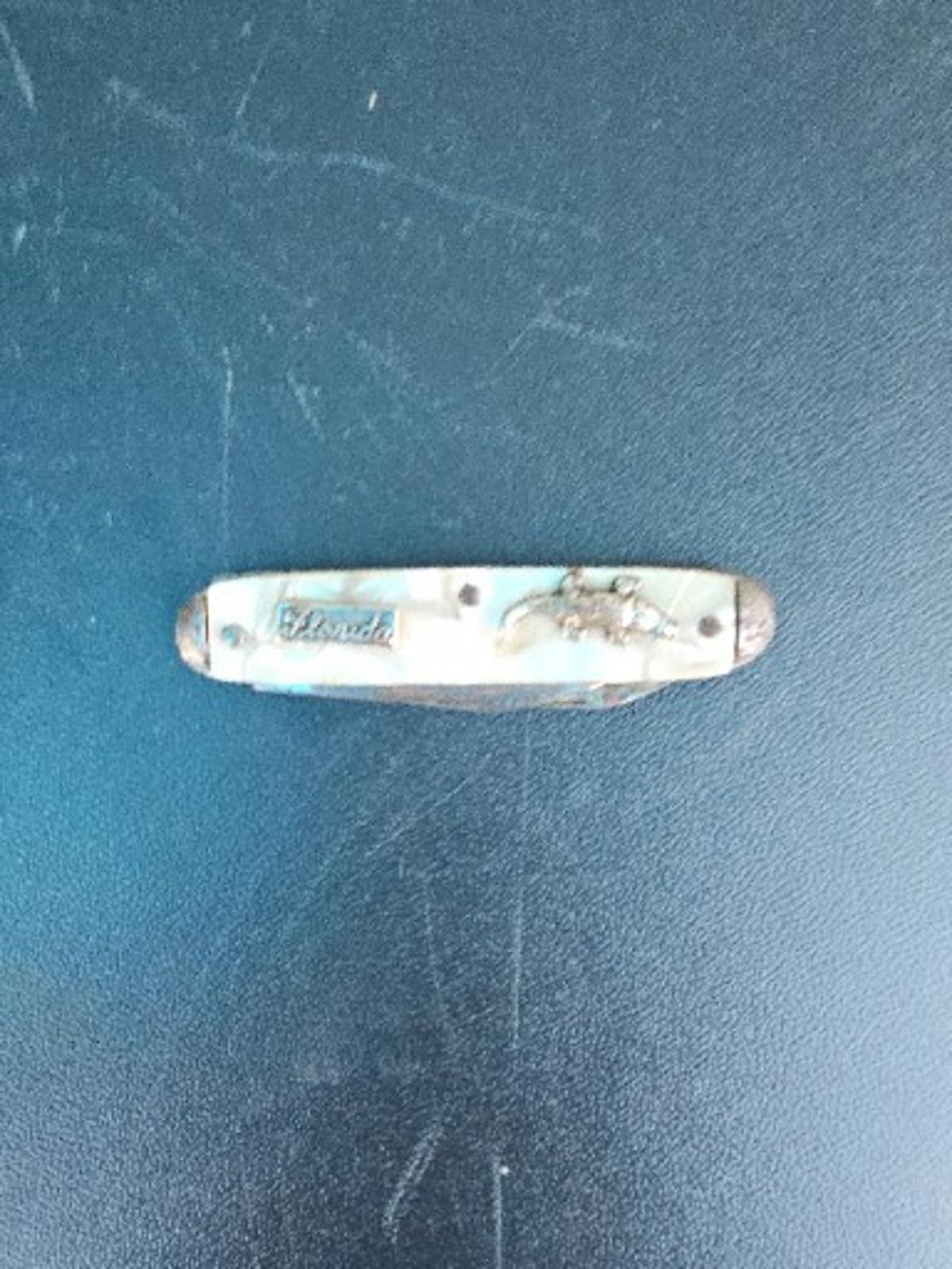 Vintage Florida Novelty Key Chain Pocket Knife 3.5″ White Pearl &gator Rare #191