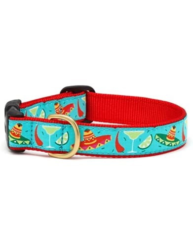 Up Country Cinco De Mayo Dog Collar & Leash, Medium 12–18″, 1″ Wide