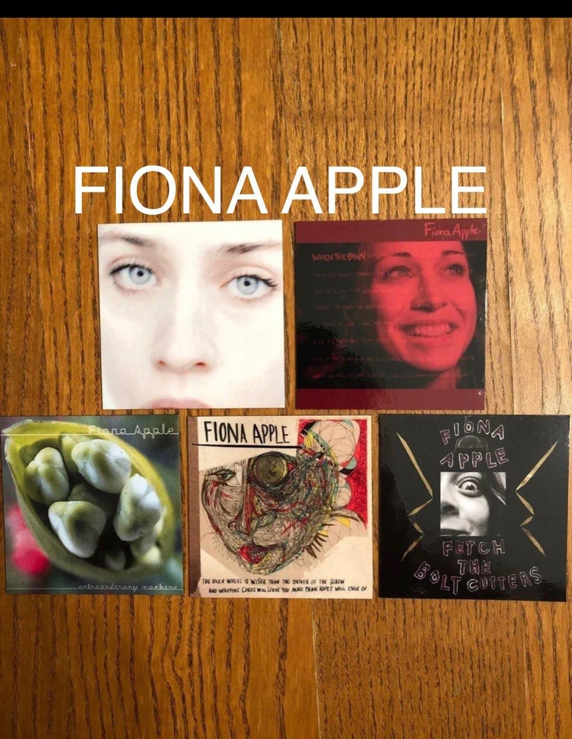 Fiona Apple fridge magnets