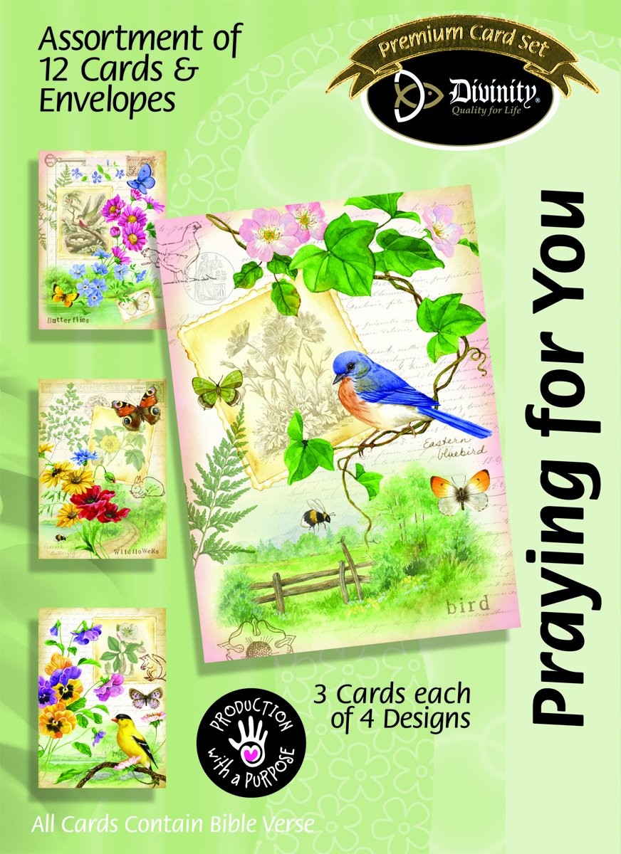 Divinity Boutique Boxed Cards Praying for You, Country Wanderings (23688N)