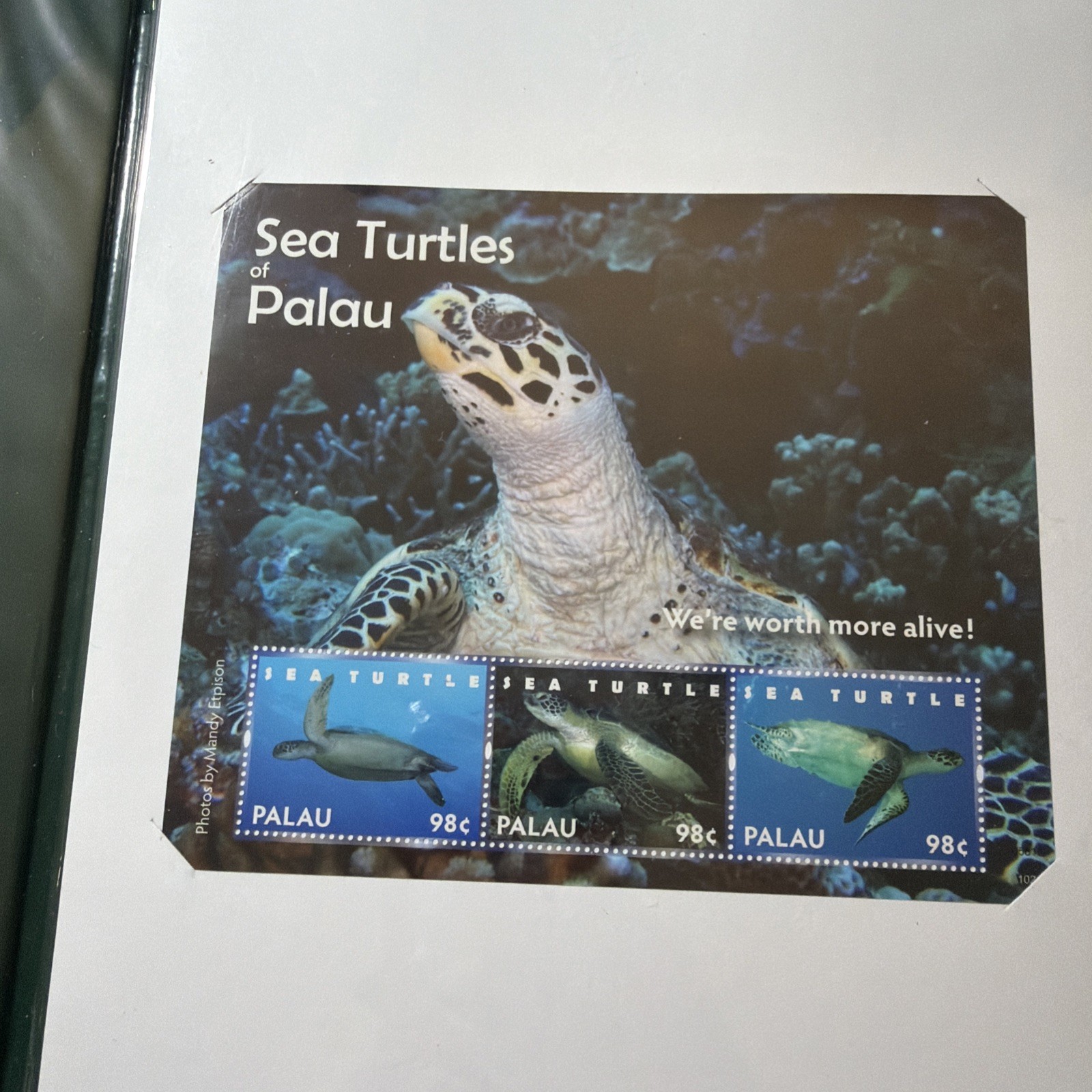Collectable Turtle Stamps Gift from President of Republic of Palau Box 2
