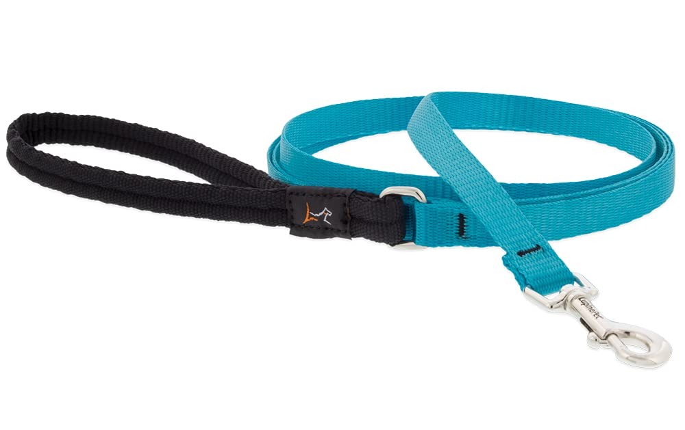 Lupine Padded Handle Leash for Small Pets 1/2″ Wide Aqua 6-Foot Long
