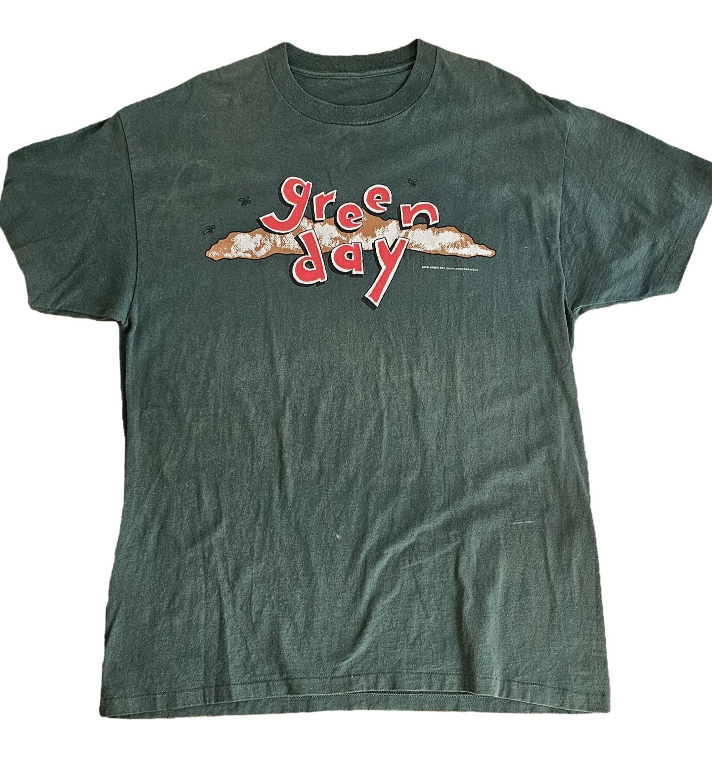 Rare Vintage 1994 Green Day “DOOKIE” T-shirt BROCKUM XL