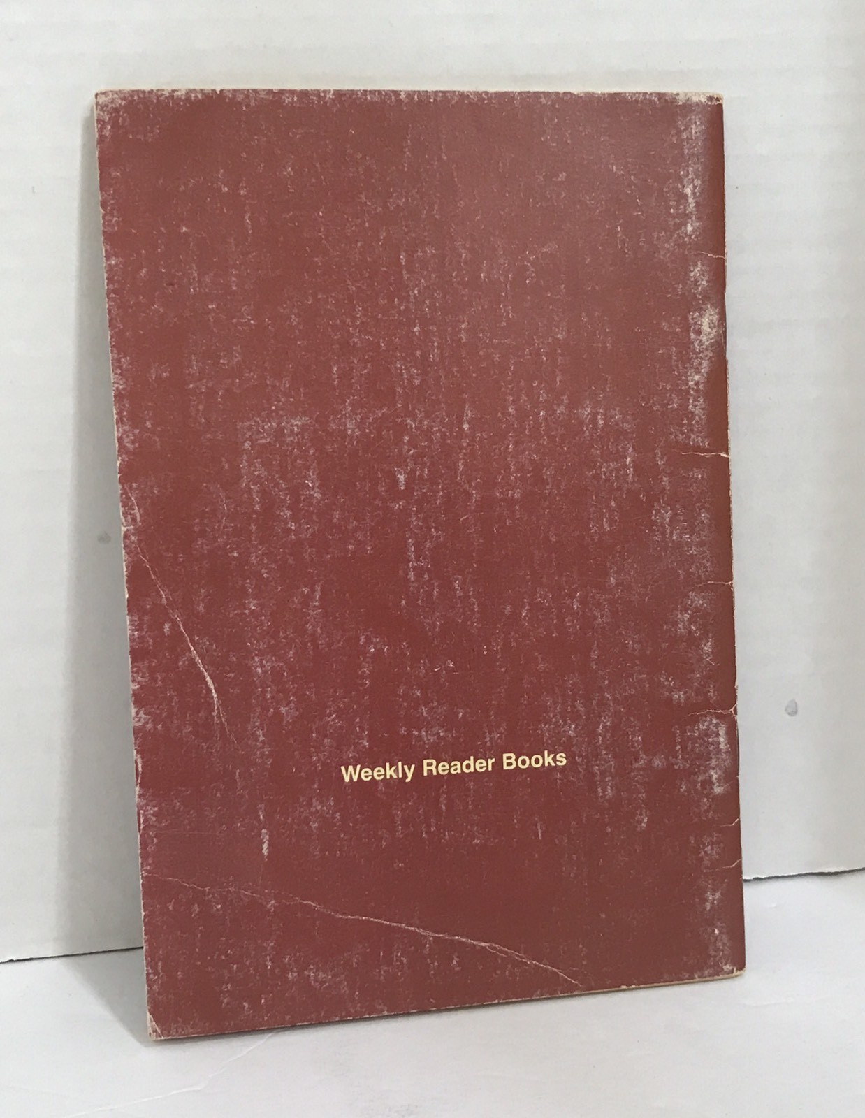 Vtg Weekly Reader Softcover The Chocolate Chip Mystery John McInnes