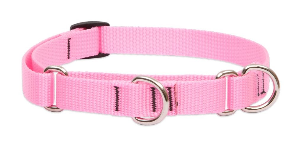 LupinePet Basics 3/4″ Pink 14-20″ Martingale Collar for Medium and Larger Dogs