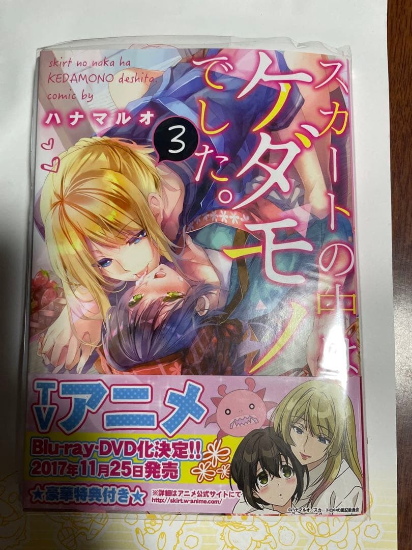 Hand-Drawn Illustration Hana Volume 3 Signed Rare Art Includes Bonus Cards