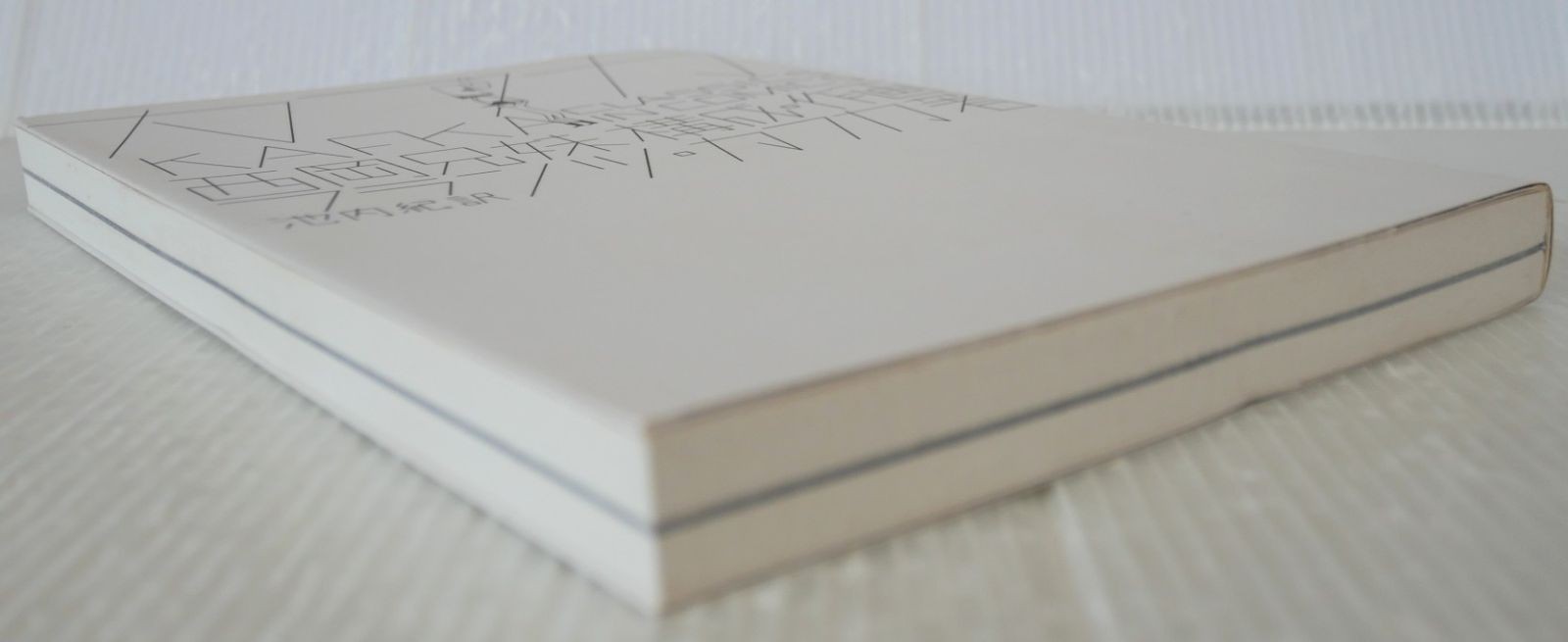 First edition out of print (published on April 20, 2010) Kafka Classics in