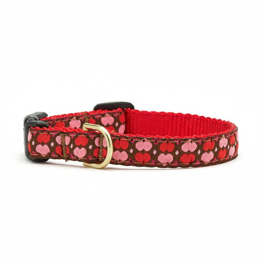 All Hearts Dog Collar – Size 12 inches – Very Small Breed or Puppies