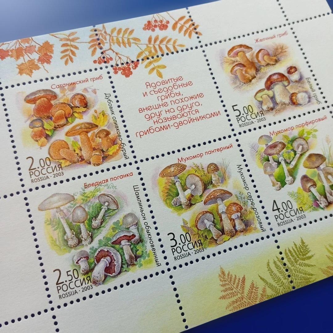 10096 Foreign Stamp Russia 2003 Edible and Poisonous Mushrooms Small Sheet