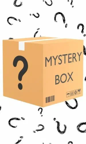 Premium Brand Name Liquidation Lot – New Stock Amazon Target TJ Maxx – large Box