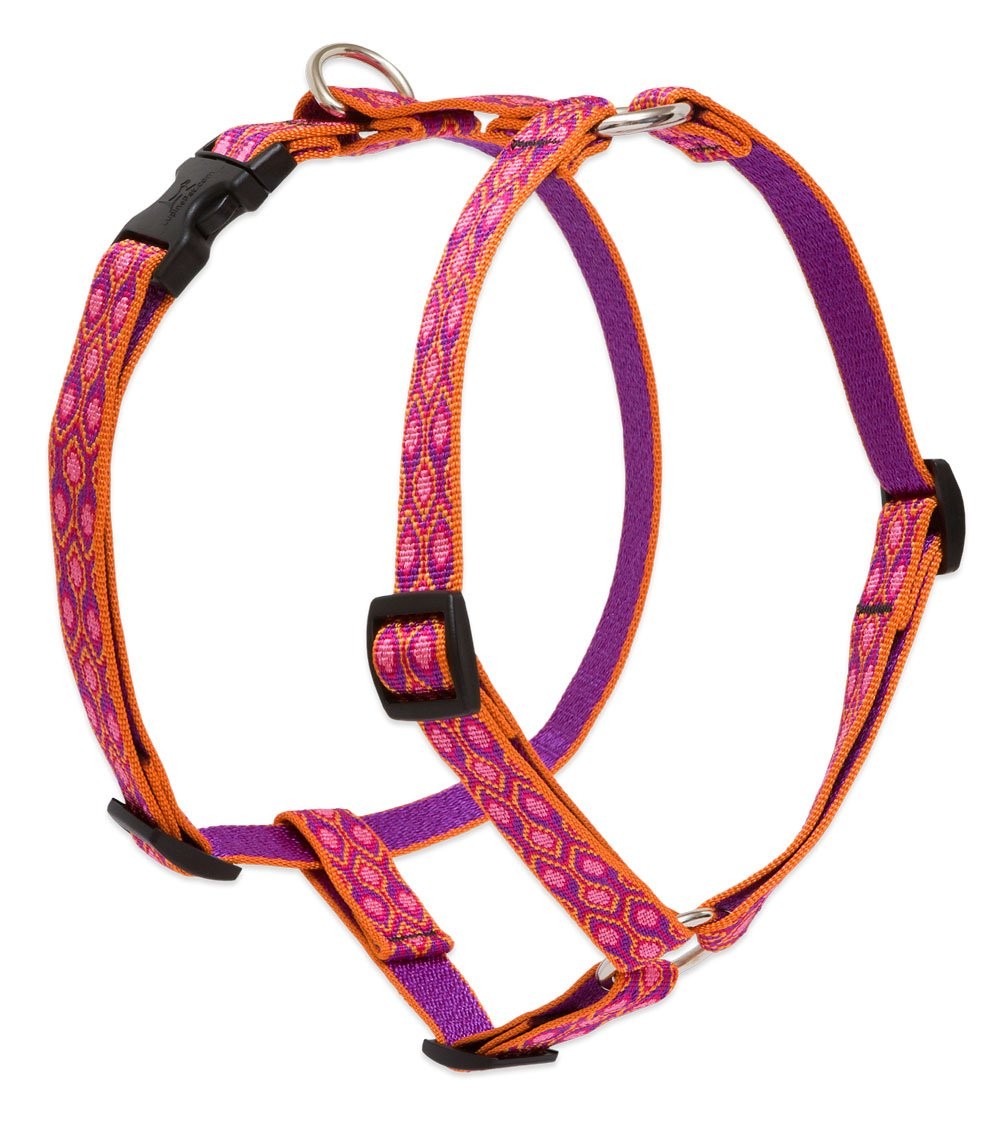 LupinePet Alpen Glow Adjustable Roman Dog Harness, Medium Dogs 14–24″