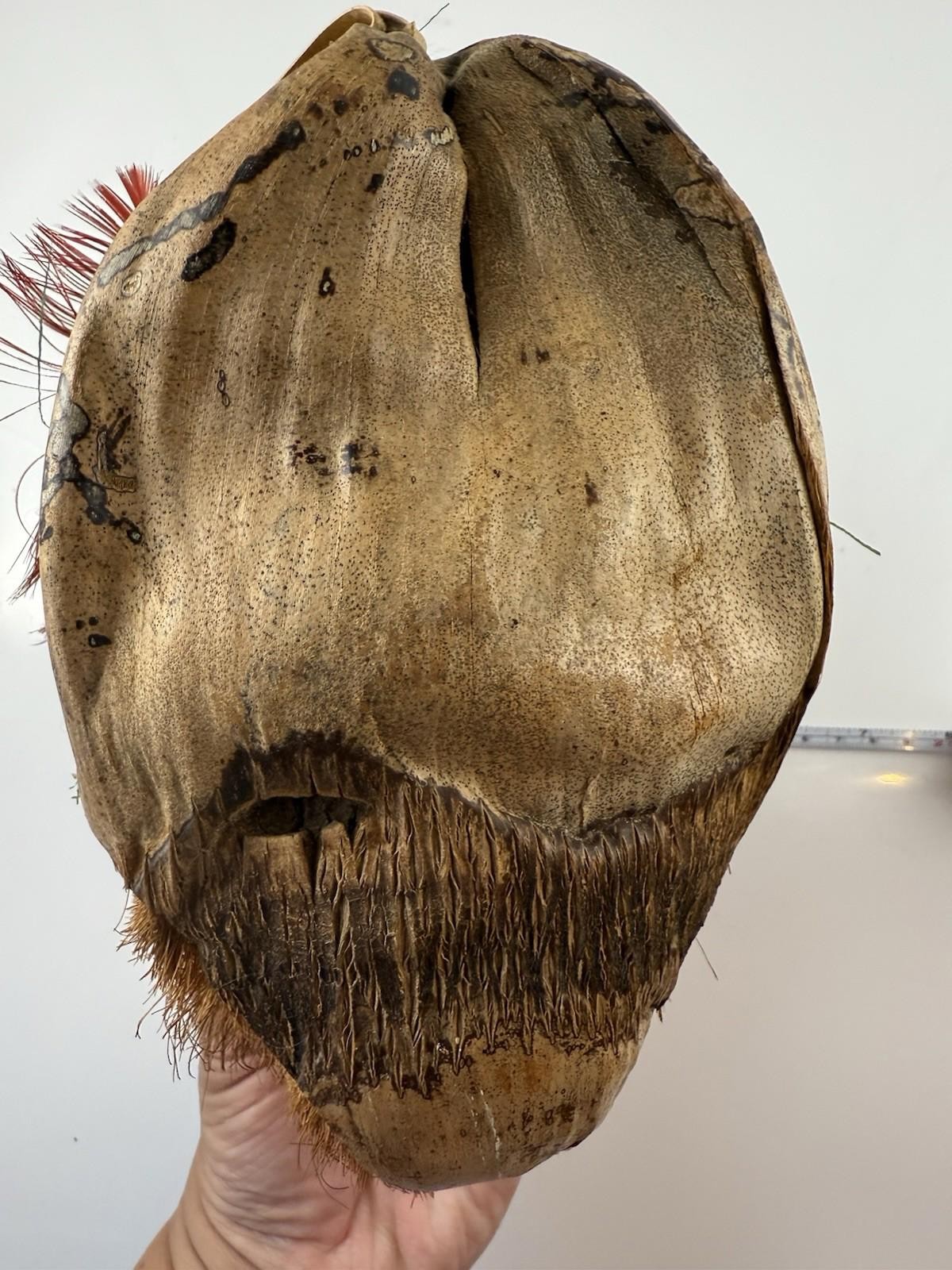 Tiki Coconut Hanging Monkey Head Green Hand Hat Tropical Vintage Hand Carved