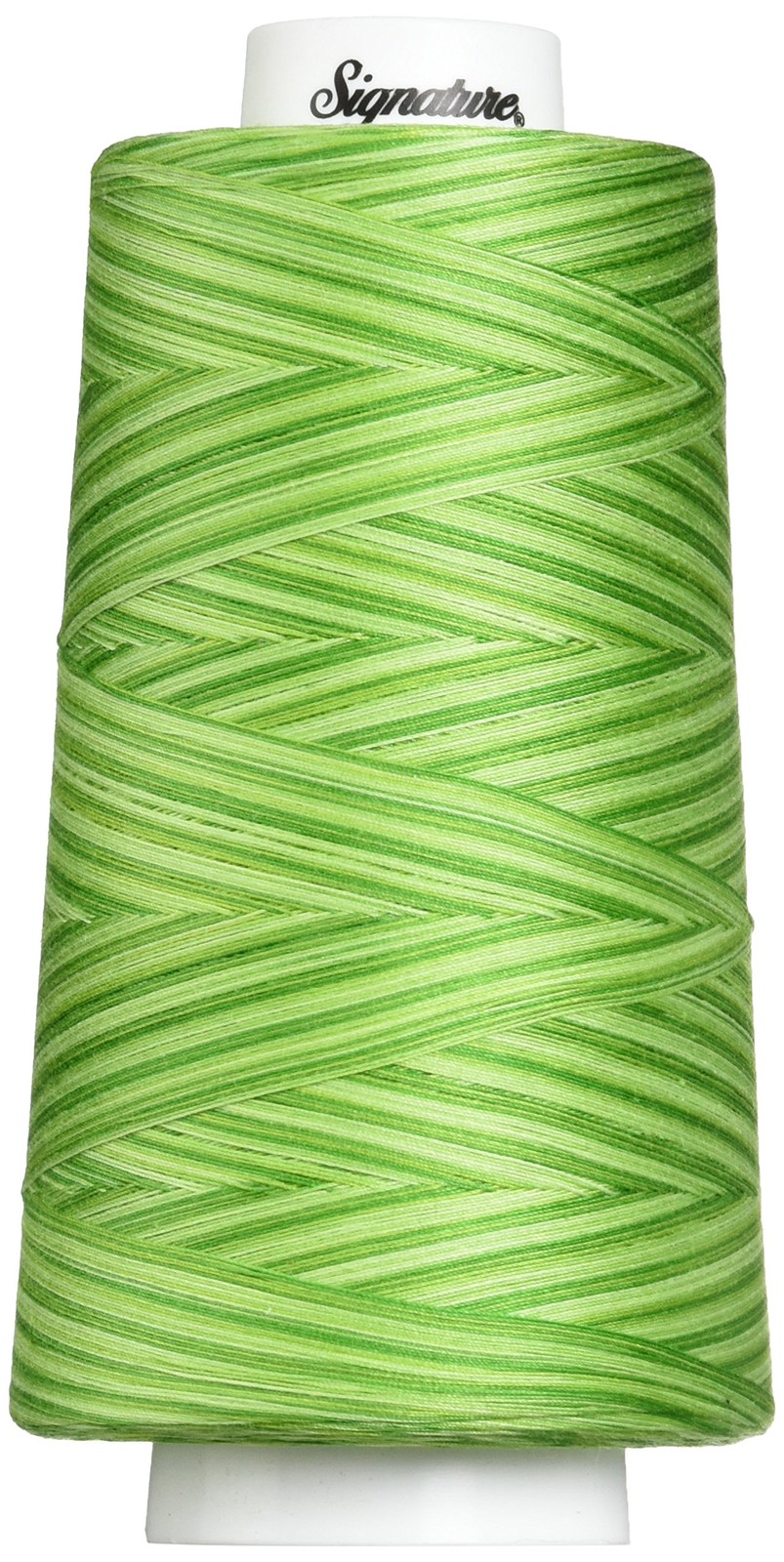 Signature Thread Machine Quilting Thread, 3000 yd, Variegated Spring Grass
