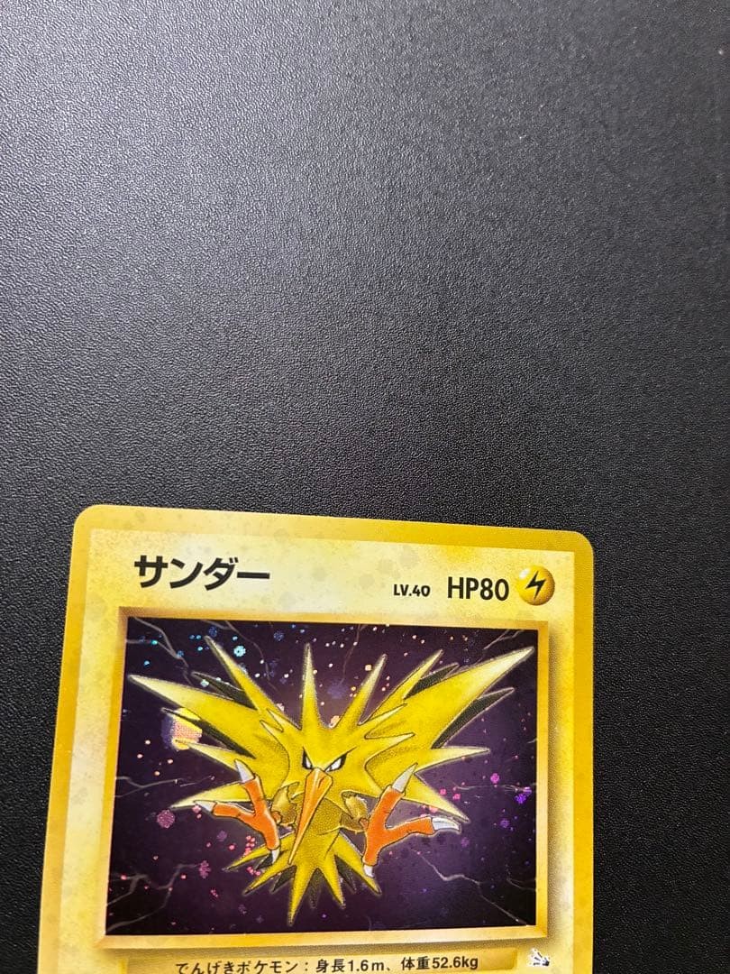 All Holo Thunder 3rd Expansion Pack Fossil Secret
