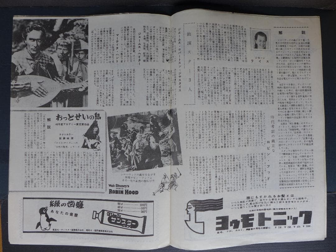 Period piece [Good condition] Walt Disney work Robin Hood movie pamphlet Showa