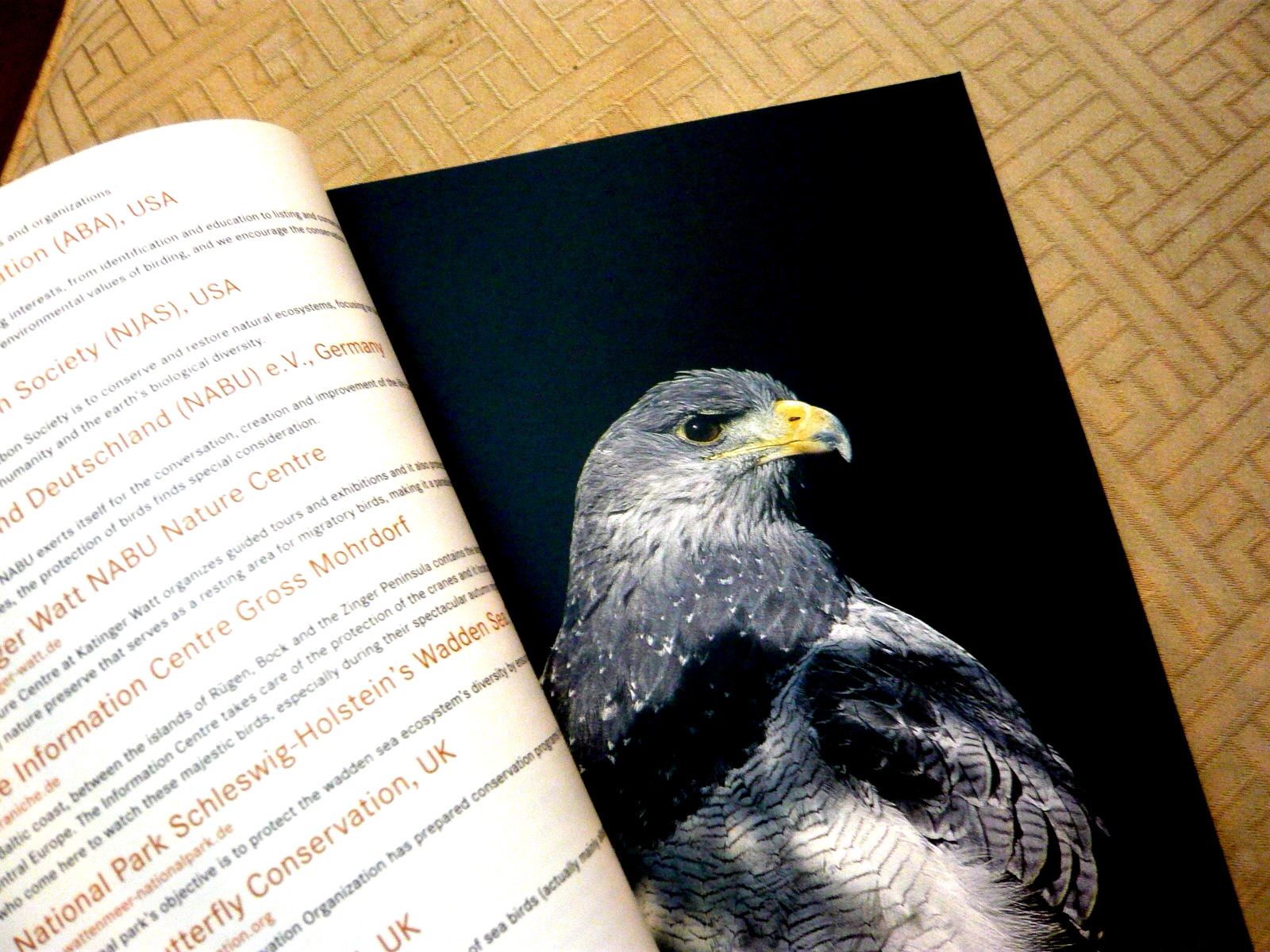 Leica Nature Observation. Binocs and Scopes. 100 pages. English specs.