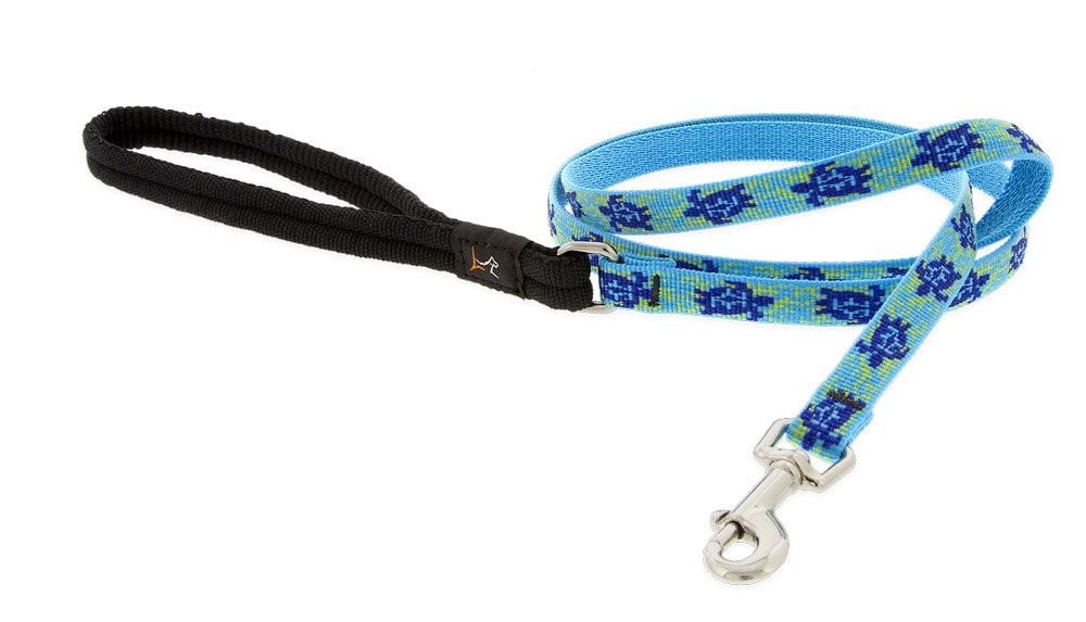 LupinePet Originals 1/2″ Turtle Reef 4-Foot Padded Handle Leash for Small Pets