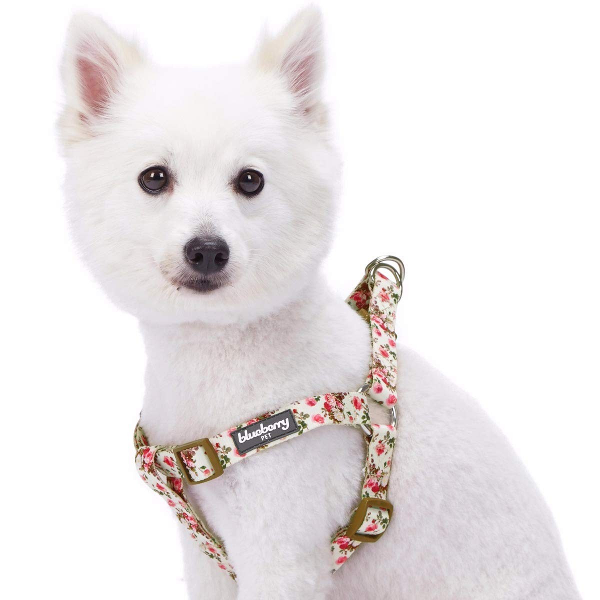 Blueberry Pet Pink Rose Step-In Dog Harness, Small, Adjustable 16.5–21.5″ Chest