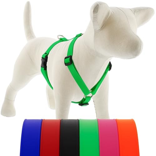 LupinePet Waterproof No-Pull Dog Harness, Neon Green Large