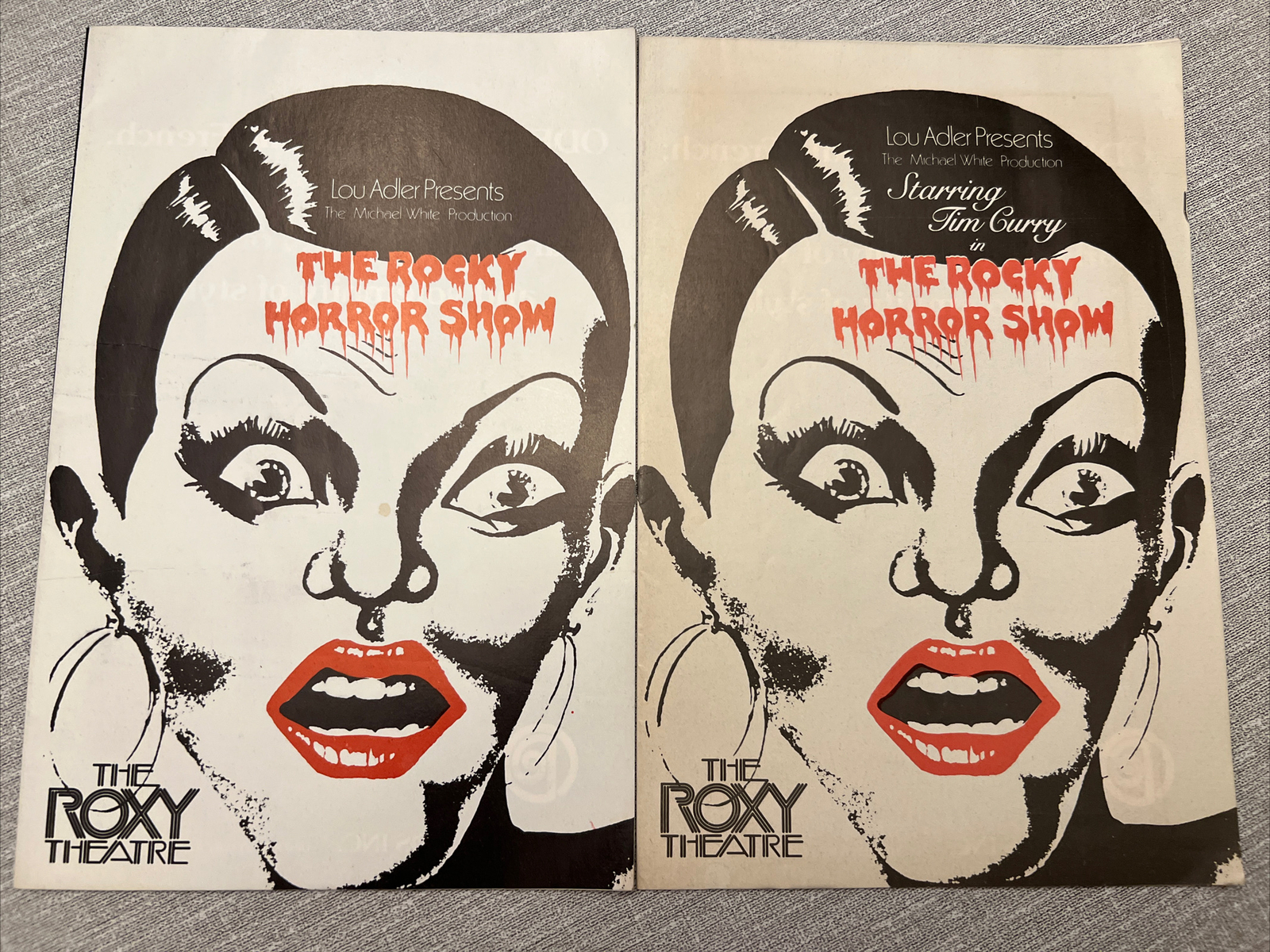 Lot of 2 The Rocky Horror Show Programs FEATURING TIM CURRY (FH-206)