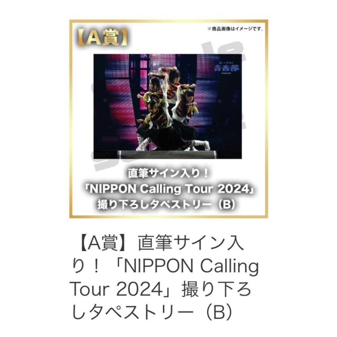 Yingshun Autographed NIPPON Calling Tour 2024 Tapestry B Used