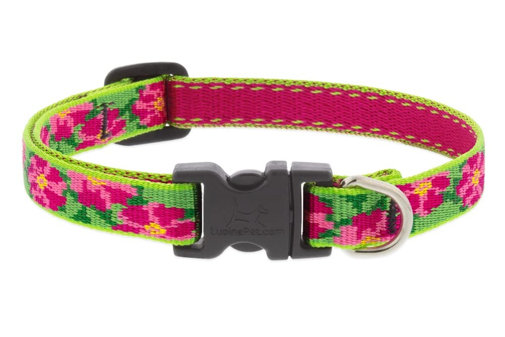 Lupine Small Dog Collar 1/2″ Wide Petunias Adjusts from 8″ to 12″