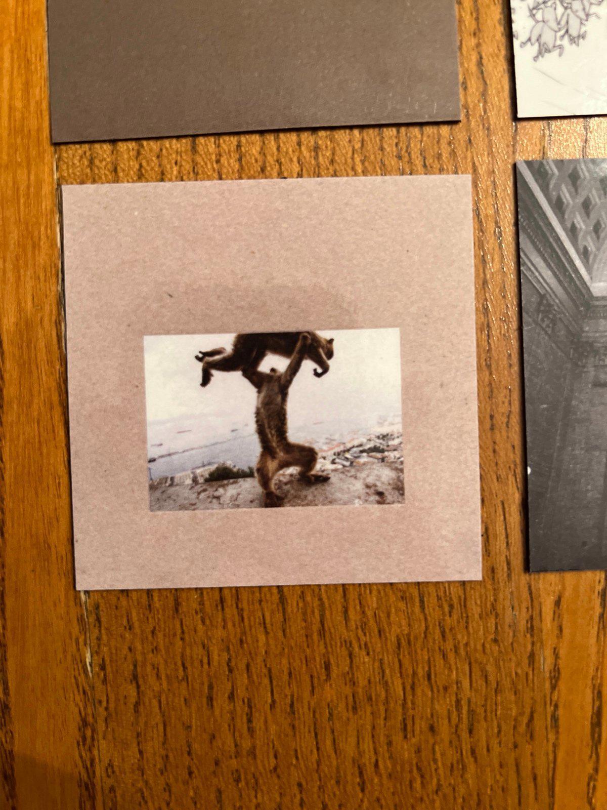 Shellac fridge magnets