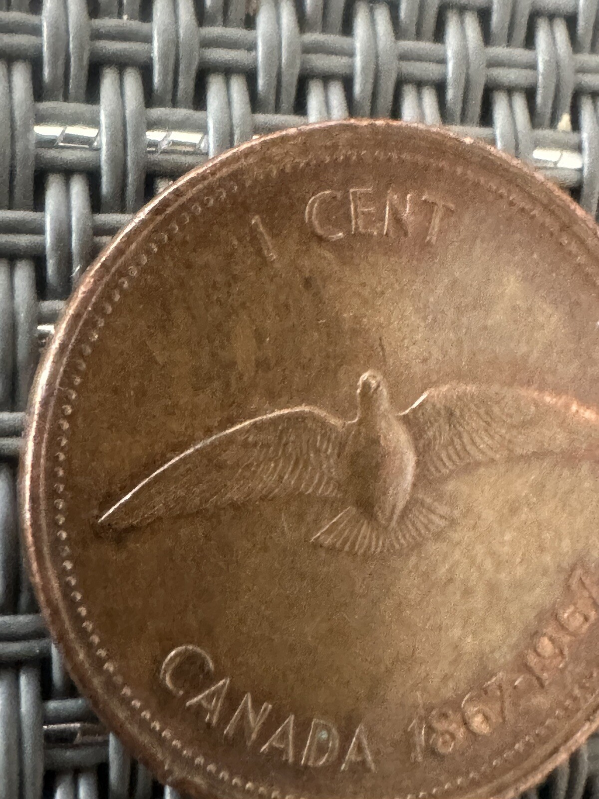 1867-1967 1 Cent Dove Penny, Partial Double Edge, D/D Printing Error. SUPER RARE